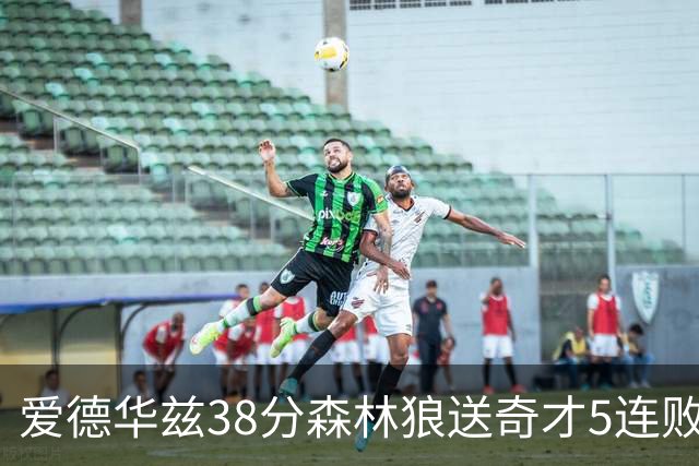 爱德华兹38分森林狼送奇才5连败 活塞力克黄蜂